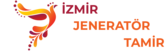 izmirjeneratortamir.com